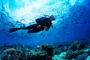 Scuba-diving-in-Micronesia-1200x853